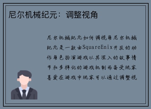 尼尔机械纪元：调整视角